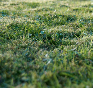 Wunderschöne Lage: Bauplatz am Spindelberg